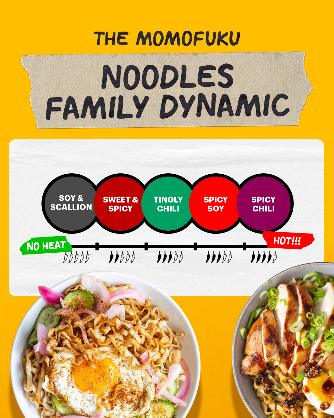 Noodle 101 Pack